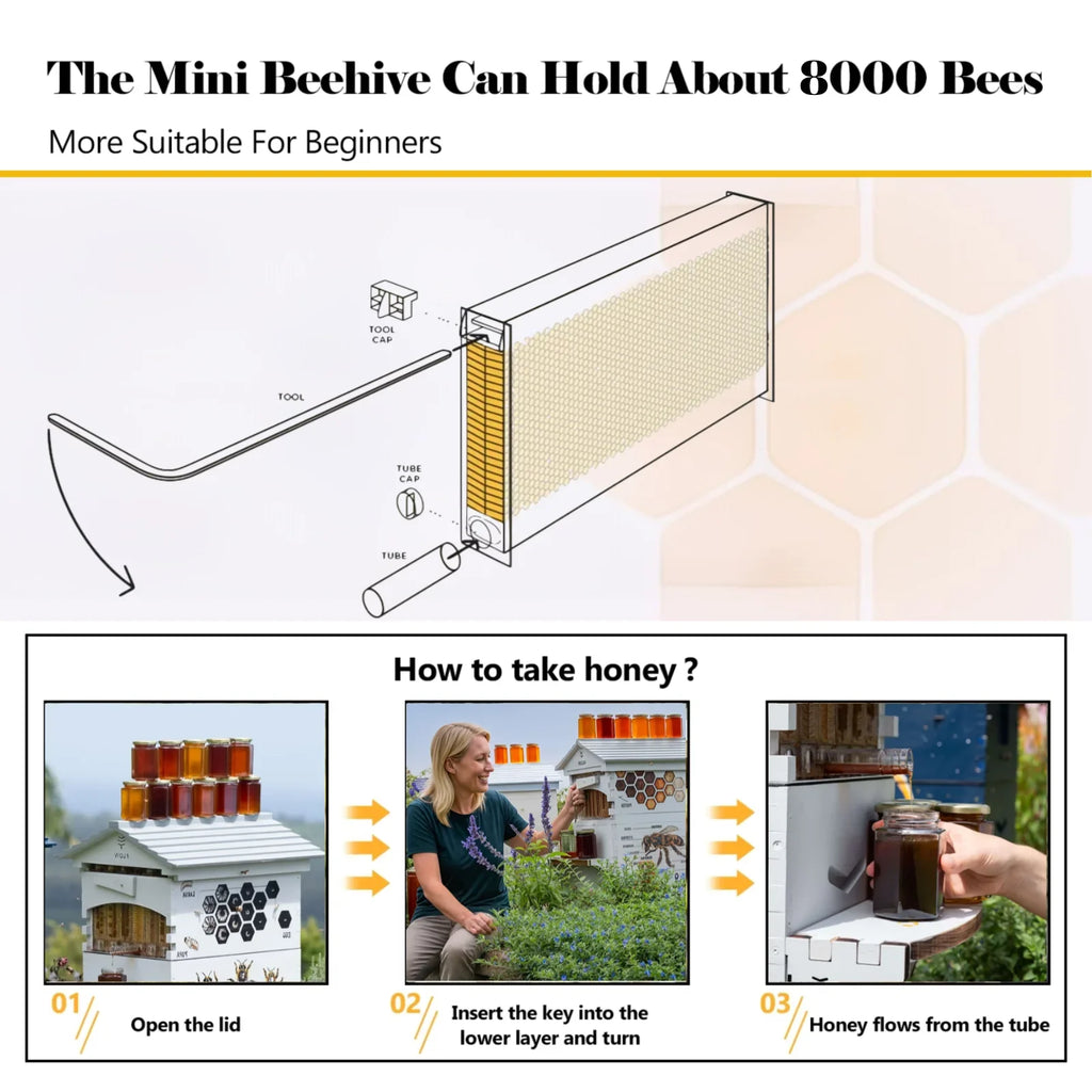 Bee Hive with Tap and Flow Hive Frame Complete Beehive Kit for Beginners